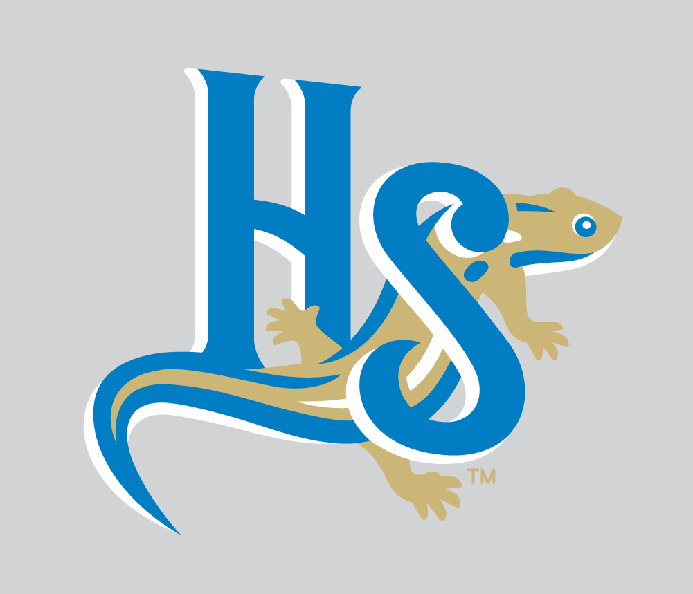 Holly Springs Salamanders 2015-Pres Alternate Logo v4 iron on transfers for clothing